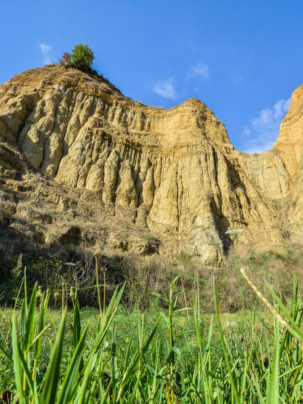 b&B-terranuova-bracciolini-4